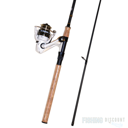 Spinnrute + Rolle Master Spin Carbon Steckrute Lineaeffe 20-55 g Forellencombo