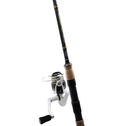 Spinnrute + Rolle Master Spin Carbon Steckrute Lineaeffe 20-55 g Forellencombo